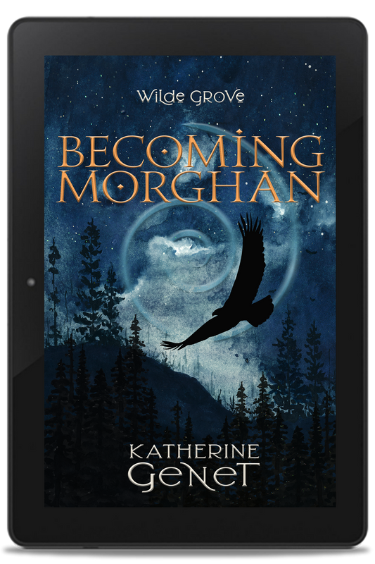metaphysical fantasy visionary series