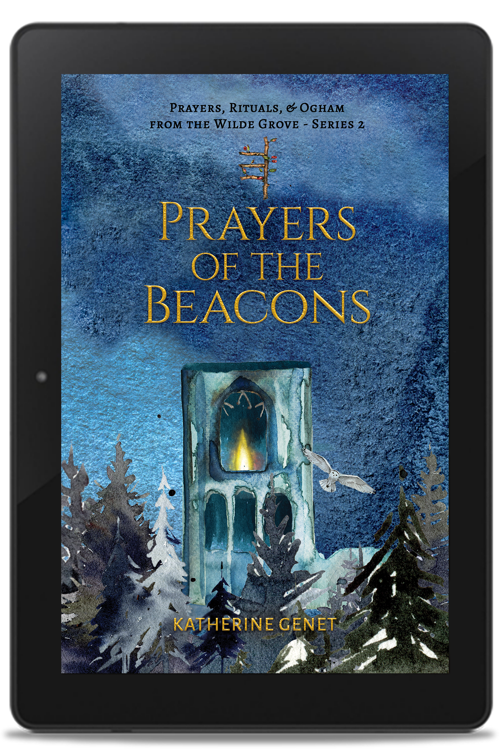 Prayers Wilde Grove metaphysical series
