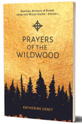 Load image into Gallery viewer, Pagan prayers, rituals, runes
