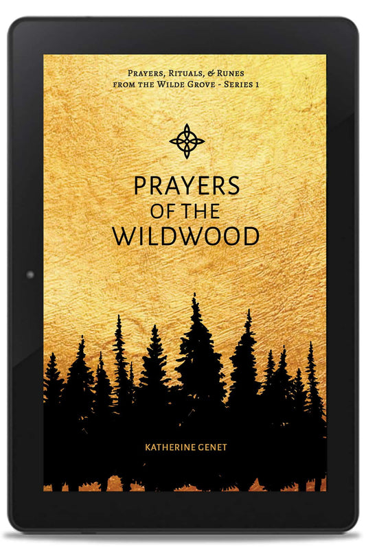 Wilde Grove visionary witch fiction
