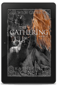 Load image into Gallery viewer, Wilde Grove visionary witch fiction

